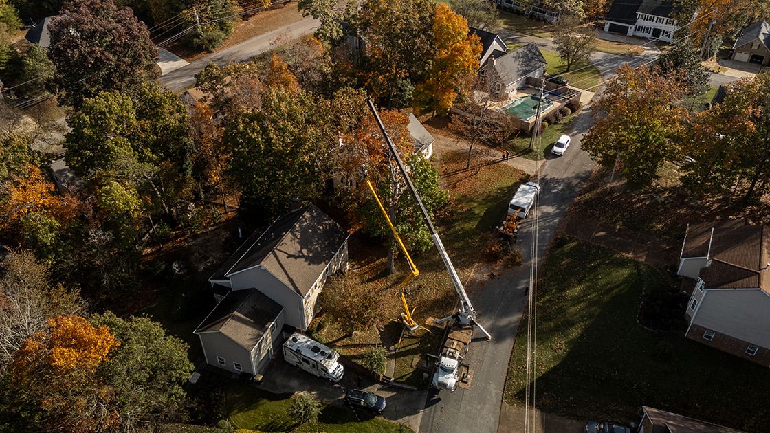 Aerial view of a Chattanooga Tree Service crane removing a large tree in a residential neighborhood