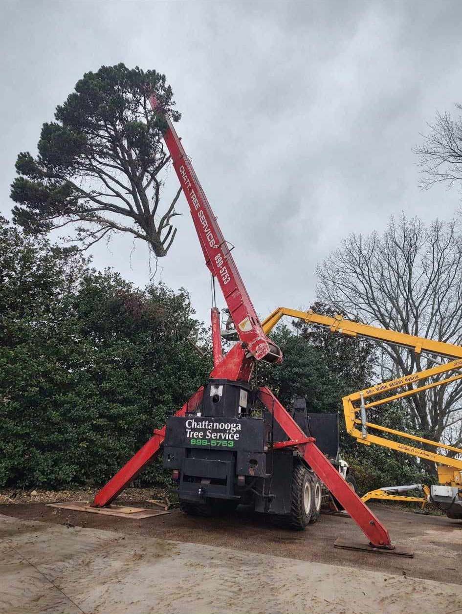 The Chattanooga Tree Service red crane lifting a whole tree up over a property