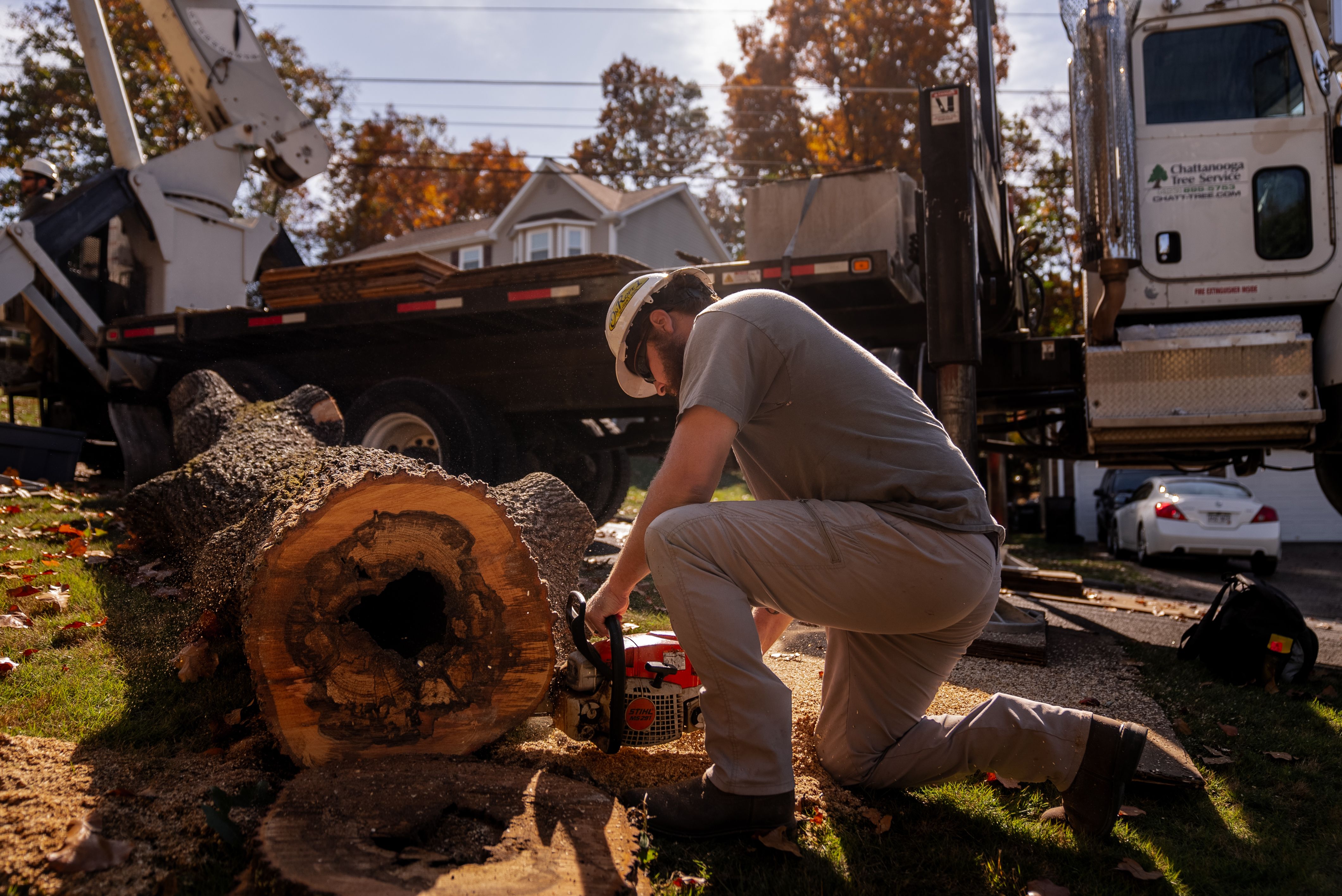 A Chattanooga Tree Service crewman in a hard hat cutting a massive felled oak log beside the company crane truck